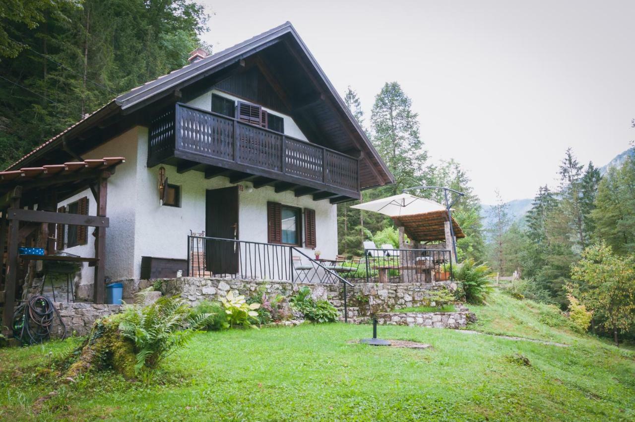 Naturalina Holiday House Gorenja Trebusa Zewnętrze zdjęcie